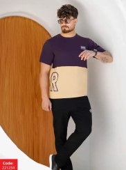 تصویر ست تیشرت و شلوار مردانه کد 221254 