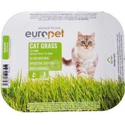 تصویر بذر علف گربه یوروپت 80 گرمی - اورجینال europet Soft Gras 80gr