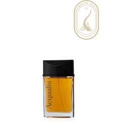 تصویر عطر مردانه موبوسین ایکوالس ادوپرفیوم - Mauboussin Aequalis Eau De Parfum 