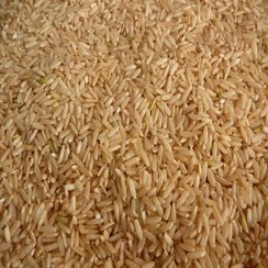 تصویر برنج قهوه ای شمال | برنج سبوس دار گیلان | برنج هاشمی درجه ۱ 