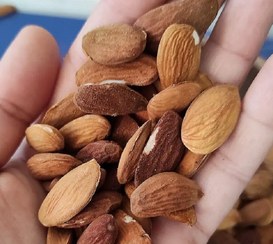 تصویر مغز بادام استهبان 