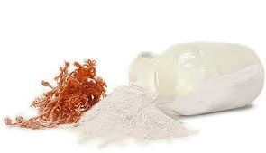 تصویر خرید کاراگینان یوتا، کاپا و فول‌کاپا از سودا شیمی با تضمین کیفیت 