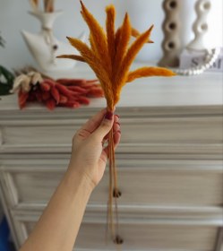 تصویر گل خشک 