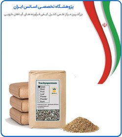 تصویر بذر زنیان خشک فله 