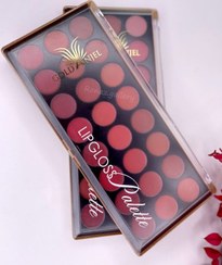 تصویر پالت رژلب گلدانجل - شماره b 