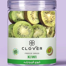 تصویر میوه خشک فریزدرای کیوی 