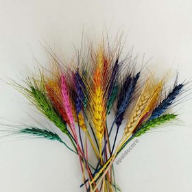 تصویر گندم رنگی و طبیعی رنگ طبیعی (3۰ شاخه ای)