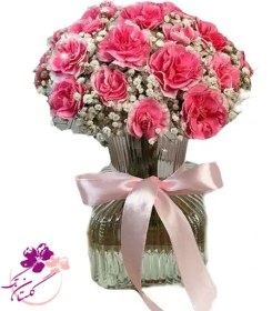 تصویر جارگل میخک 