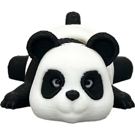 تصویر پاندا تپل 