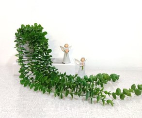 تصویر آویز شمشاد ۱۶ شاخه دکوراتیو رنگ سبز 