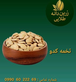 تصویر تخمه کدو 