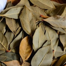 تصویر برگ بو(۱۰کیلویی) 