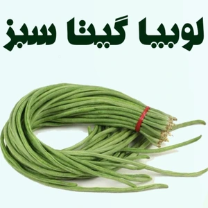 تصویر فروشگاه باغبان ارگانیک