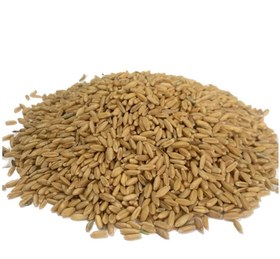 تصویر گندم مرغی ۱ کیلوگرم 