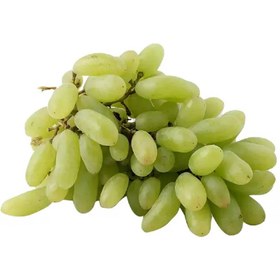 تصویر انگورریش بابا 