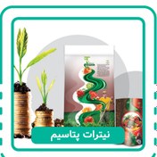 تصویر نیترات پتاسیم بلژیک 