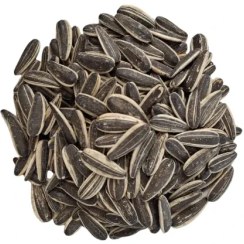 تصویر تخمه ساده 