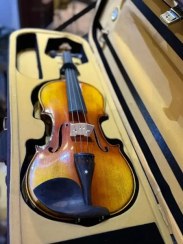 تصویر ویولون کارل هافنر 