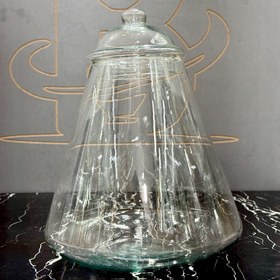 تصویر تنگ ماهی هرمی بزرگ 