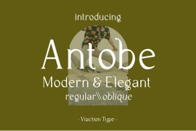 تصویر Antobe Modern Serif 