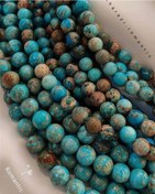 تصویر ریسه فیروزه افریقایی 