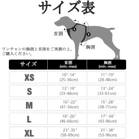 تصویر هارنس سگ رَبیتگو (Rabbitgoo) 