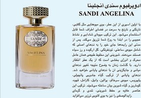 تصویر عطر ادکلن آنجلینا بانوان رایحه لانویت مهزیار 100 میل سندی 