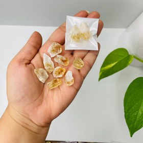 تصویر پک دو عددی کیف پولی راف سیترین (سایز 4) 