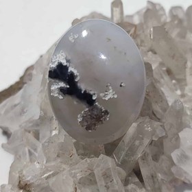 تصویر عقیق شجر بهاری 