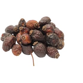 تصویر میوه گل نسترن 