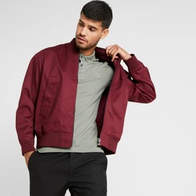 تصویر پلوشرت لاگوست طوسی 