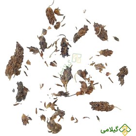 تصویر اسطوخدوس گیلامی ( Gilamie Lavender ) 