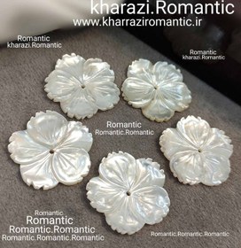 تصویر صدف اصل گل 2/5 سانت 