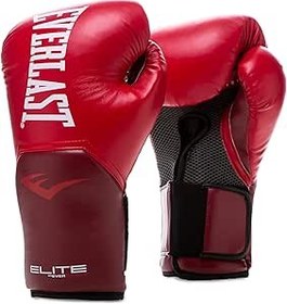 Everlast discount boxing gear