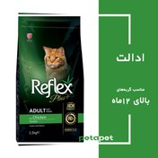 تصویر غذای خشک گربه بالغ طعم مرغ برند Reflex Plus رفلکس پلاس 15 کیلویی Reflex Plus