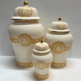 تصویر جینجرجار ورساچه 