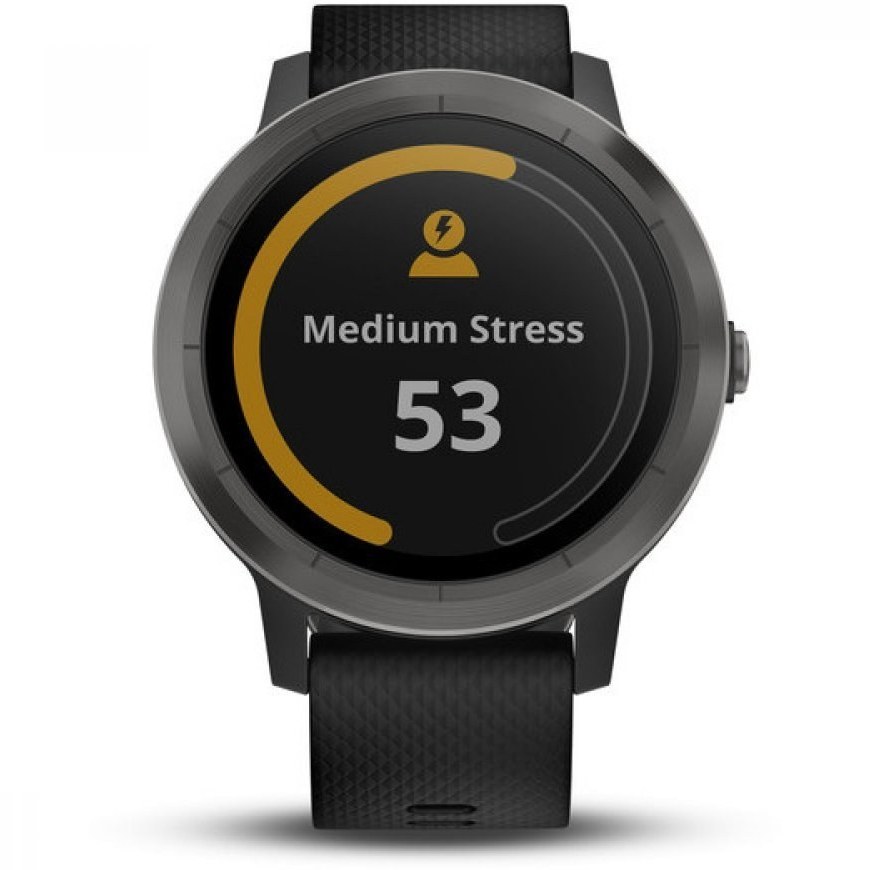 Garmin vivoactive 2025 3 slate black