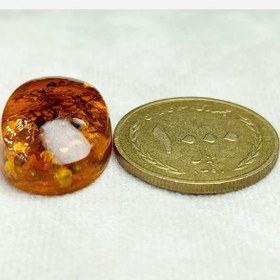 تصویر کهربا پودری سنتاتیک پر از حشره 