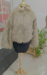 تصویر کراپ کت خز 