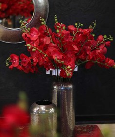 تصویر ارکیده سرخ 