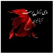 تصویر دانلود رمان ماهی زلال پرست اثر آزیتا خیری | رمانی عاشقانه و احساسی با روایتی دلنشین 