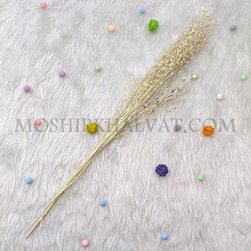 تصویر گل خشک مدل اشکی سفید 