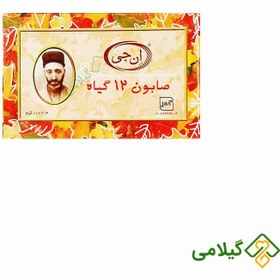 تصویر صابون ۱۲ گیاه ان جی | 100 گرمی NG Soap