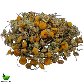 تصویر گل بابونه 