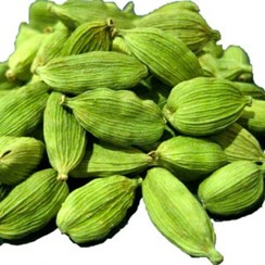 تصویر هِل هندیِ پیور اسپایس (10 گرم) ا Indian Cardamom, PureSpice 10 grams Indian Cardamom, PureSpice 10 grams