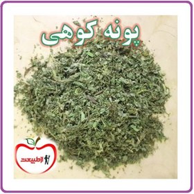 تصویر خرید پونه اعلا – 250گرم 