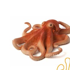 تصویر اختاپوس Octopus 387275 