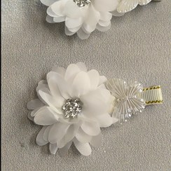 تصویر گل سر شکوفه(جفتی) 