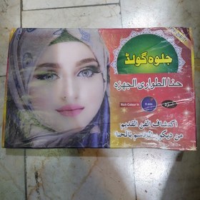 تصویر حنا طراحی 