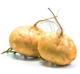 تصویر شلغم یزدی 